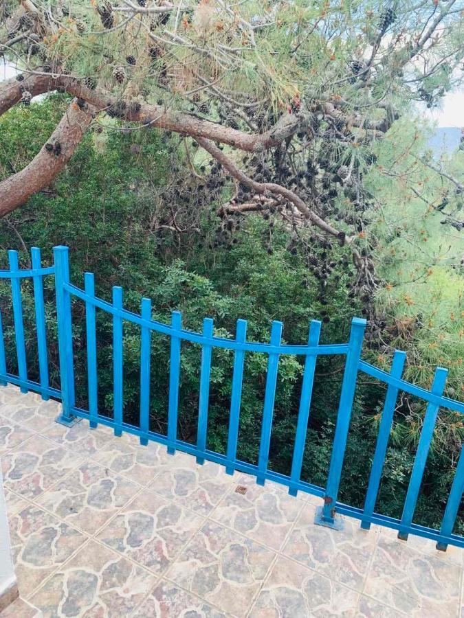Villa Bellina Pefki Zewnętrze zdjęcie